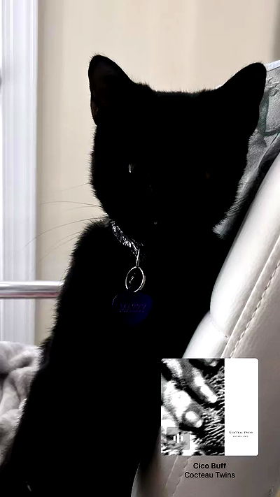 juliaelzz juliaelzz archive video