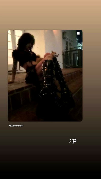 zommmbri zommmbri archive video