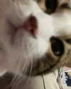 canabaputgir Altpins Profile Picture