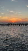 shirin_danin Altpins Profile Picture