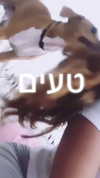 liem_sadan Altpins Profile Picture