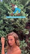neta_alchimister Altpins Profile Picture