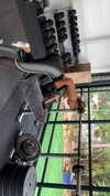 neta_alchimister Altpins Profile Picture