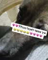 emily_new2 Altpins Profile Picture