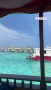 liya_manor_ Altpins Profile Picture