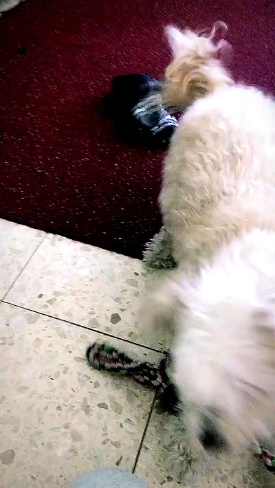 feelbetterinmysweater feelbetterinmysweater archive video