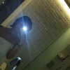 canabaputgir Altpins Profile Picture