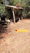 nnicole.gold Altpins Profile Picture