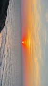 miya_sahar Altpins Profile Picture
