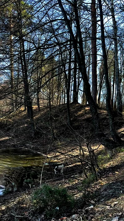 nyityam nyityam archive video