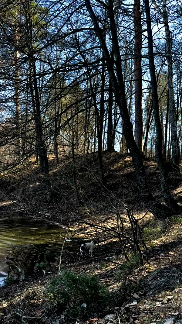 nyityam archive video preview