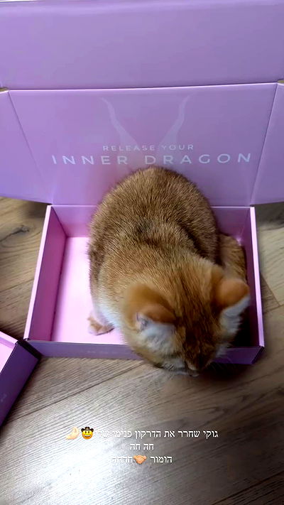 itsilanosh itsilanosh archive video