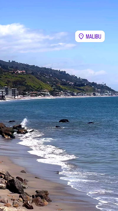 bakedsloths bakedsloths archive video