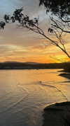 _kayleewray_ Altpins Profile Picture