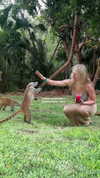 lilsyourfav Altpins Profile Picture