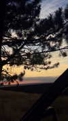 tori_t96 Altpins Profile Picture