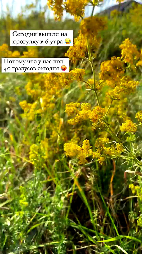 nyityam archive video preview