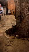 6a1it Altpins Profile Picture