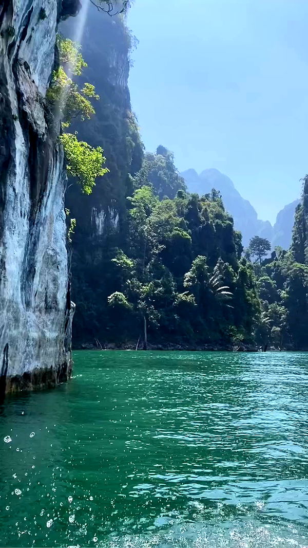 yam_adler archive video preview