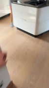 railey.tv Altpins Profile Picture