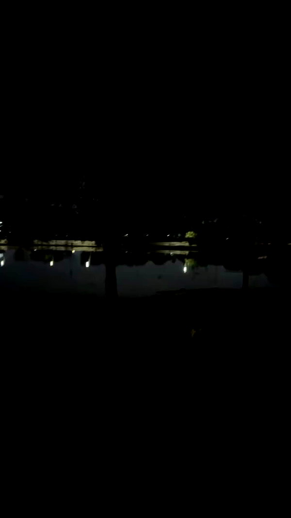 avitalll._ archive video preview