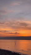 hadas_mayer_ Altpins Profile Picture