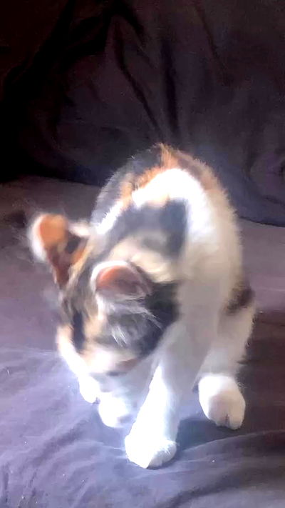 m1ry2m_ m1ry2m_ archive video