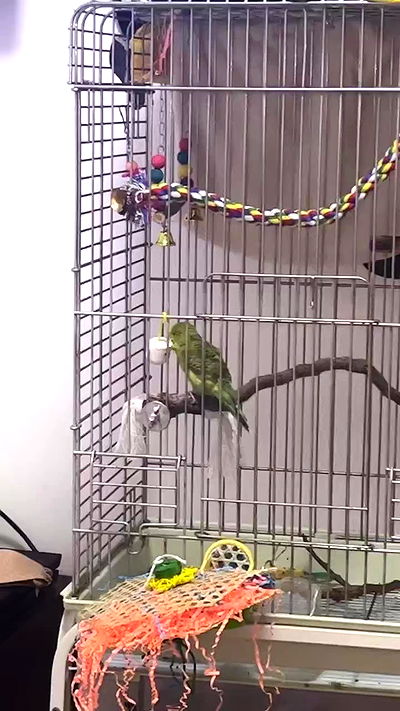 tinapavlov.sky tinapavlov.sky archive video