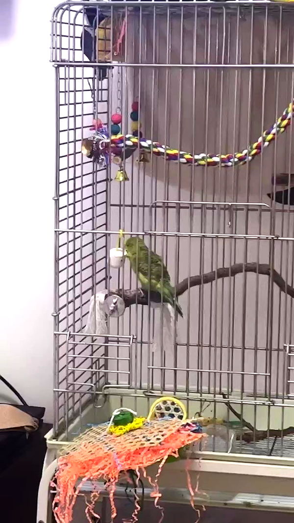 tinapavlov.sky archive video preview