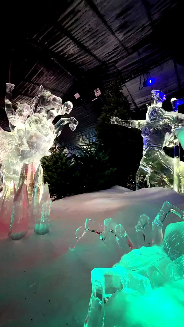 noa_mendel_ archive video preview