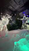 noa_mendel_ Altpins Profile Picture