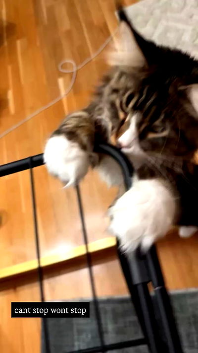 silkton silkton archive video