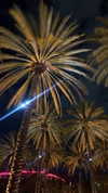 alexuhh_g Altpins Profile Picture