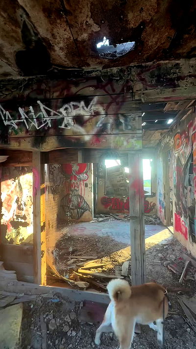 zommmbri zommmbri archive video