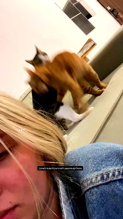 lila.garnik lila.garnik archive video