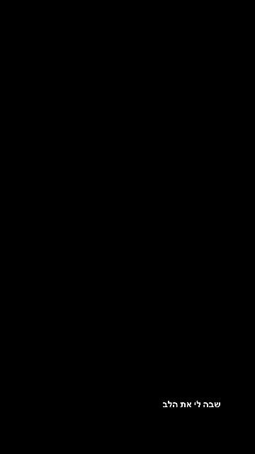 tuliprivet tuliprivet archive video