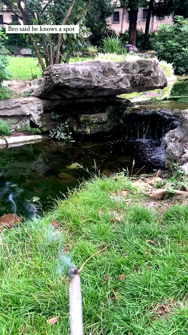 feelbetterinmysweater archive video preview