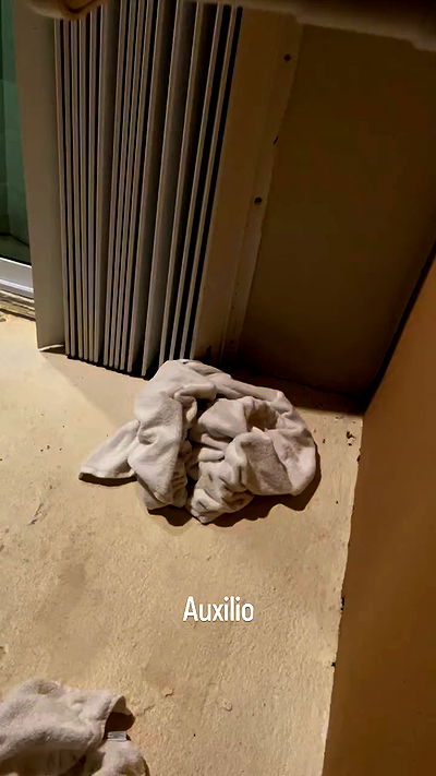 shunli__mei shunli__mei archive video