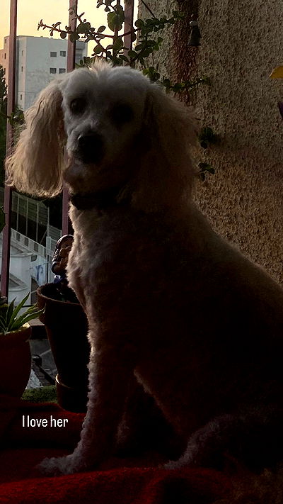 feelbetterinmysweater feelbetterinmysweater archive video