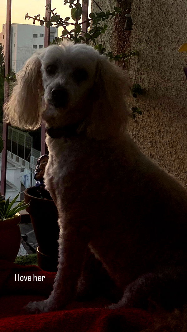 feelbetterinmysweater archive video preview