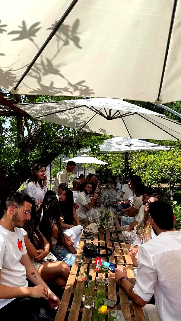 barbarini_rest archive video preview