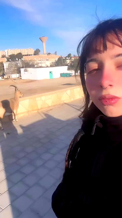 romy_ayalla_lavi romy_ayalla_lavi archive video