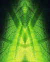 aaronmcpolin Altpins Profile Picture