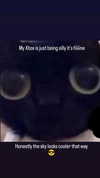 _littlerobin_ Altpins Profile Picture