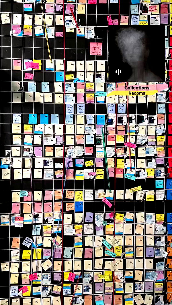 emmiencollins archive video preview