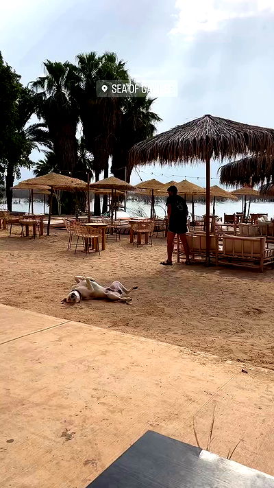 yasmin_kb yasmin_kb archive video