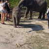 talll_cohen Altpins Profile Picture