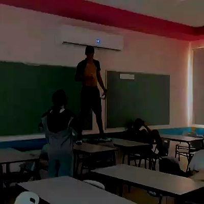 tuliprivet tuliprivet archive video