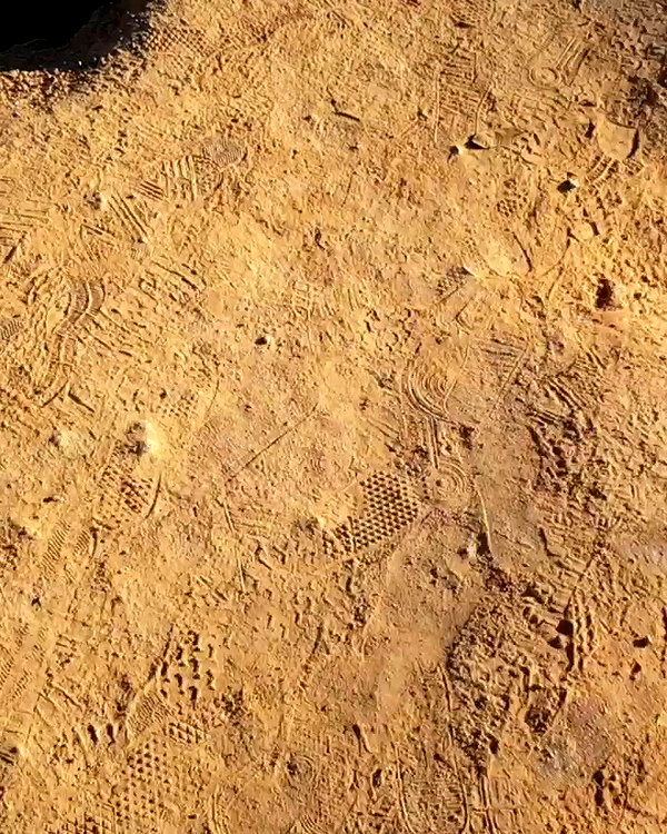 talll_cohen archive video preview