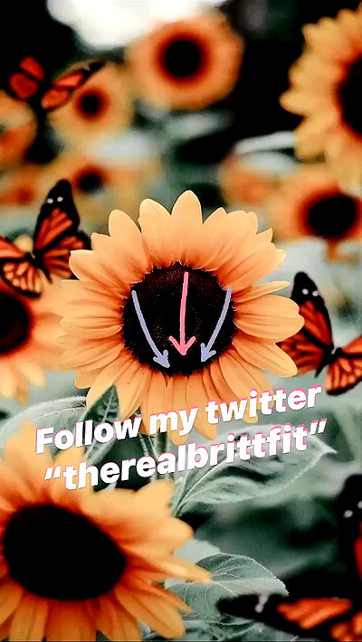 therealbrittfit therealbrittfit archive video